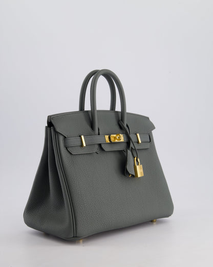 *SUPER HOT COLOUR* Hermès Birkin 25cm Retourne Bag in Vert Amande Togo Leather with Gold Hardware