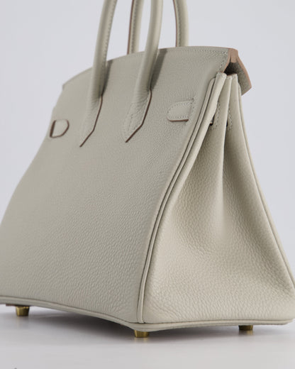 Hermès Birkin 25cm Retourne Bag in Gris Perle Togo Leather with Gold Hardware