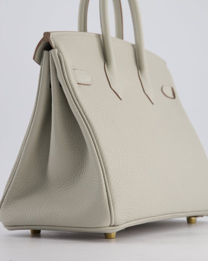 Hermès Birkin 25cm Retourne Bag in Gris Perle Togo Leather with Gold Hardware