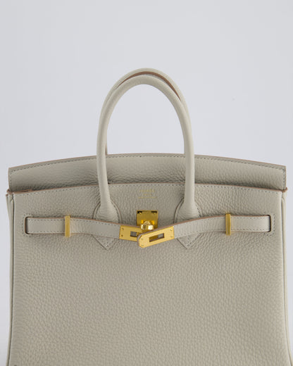 Hermès Birkin 25cm Retourne Bag in Gris Perle Togo Leather with Gold Hardware