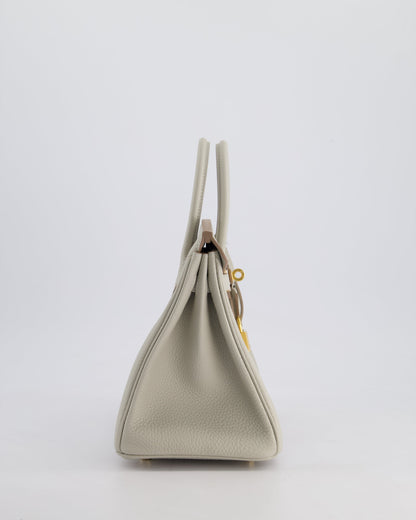 Hermès Birkin 25cm Retourne Bag in Gris Perle Togo Leather with Gold Hardware