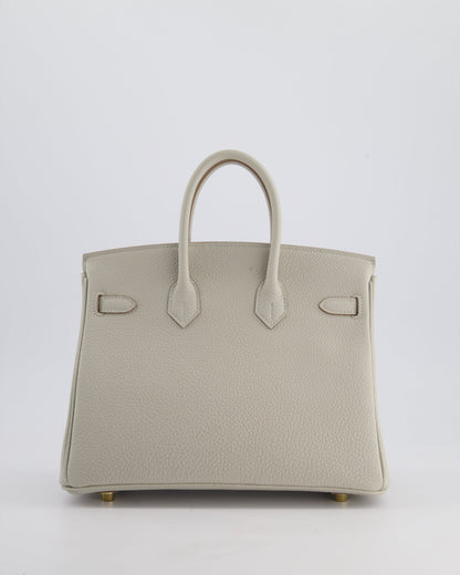 Hermès Birkin 25cm Retourne Bag in Gris Perle Togo Leather with Gold Hardware