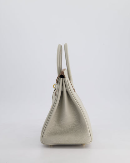 Hermès Birkin 25cm Retourne Bag in Gris Perle Togo Leather with Gold Hardware