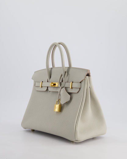 Hermès Birkin 25cm Retourne Bag in Gris Perle Togo Leather with Gold Hardware