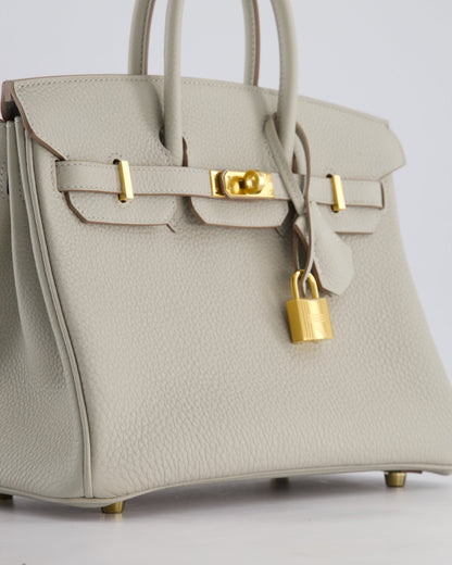 Hermès Birkin 25cm Retourne Bag in Gris Perle Togo Leather with Gold Hardware