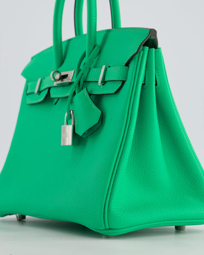 Hermès Birkin 25cm Retourne Bag in Vert Comics Togo Leather with Palladium Hardware