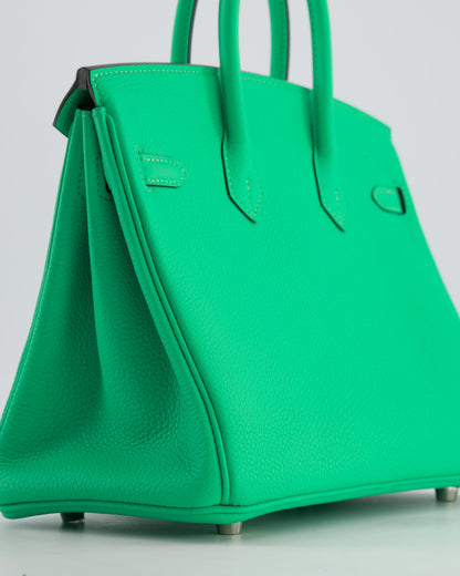 Hermès Birkin 25cm Retourne Bag in Vert Comics Togo Leather with Palladium Hardware