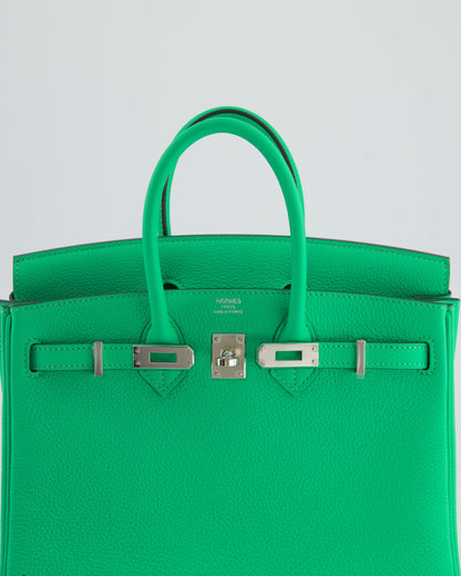 Hermès Birkin 25cm Retourne Bag in Vert Comics Togo Leather with Palladium Hardware