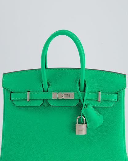 Hermès Birkin 25cm Retourne Bag in Vert Comics Togo Leather with Palladium Hardware