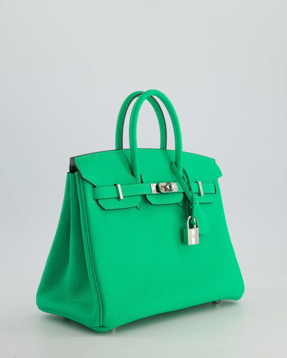 Hermès Birkin 25cm Retourne Bag in Vert Comics Togo Leather with Palladium Hardware