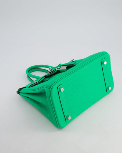 Hermès Birkin 25cm Retourne Bag in Vert Comics Togo Leather with Palladium Hardware