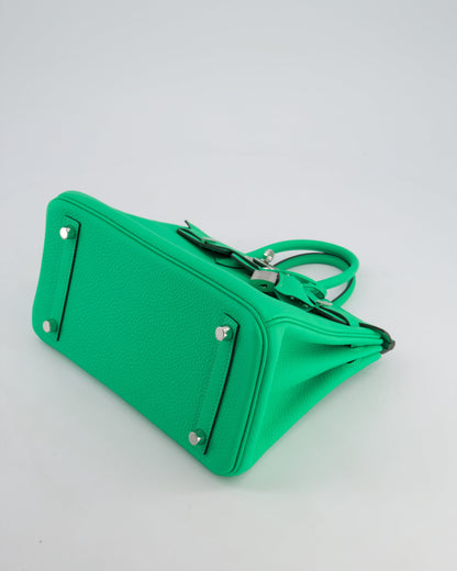 Hermès Birkin 25cm Retourne Bag in Vert Comics Togo Leather with Palladium Hardware