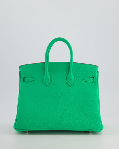 Hermès Birkin 25cm Retourne Bag in Vert Comics Togo Leather with Palladium Hardware