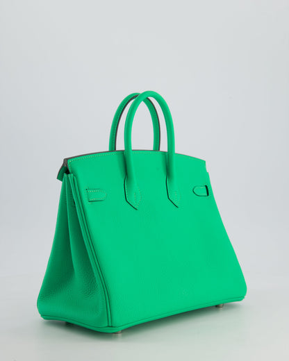 Hermès Birkin 25cm Retourne Bag in Vert Comics Togo Leather with Palladium Hardware