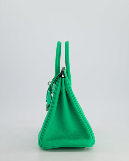 Hermès Birkin 25cm Retourne Bag in Vert Comics Togo Leather with Palladium Hardware