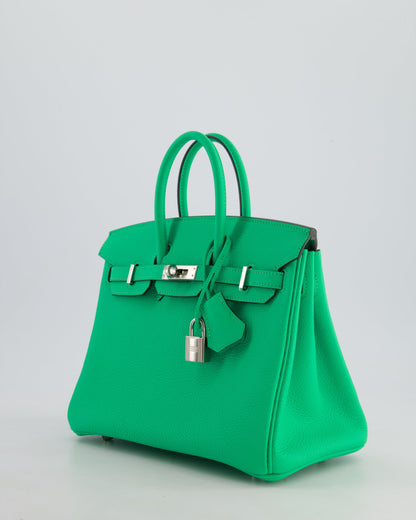 Hermès Birkin 25cm Retourne Bag in Vert Comics Togo Leather with Palladium Hardware