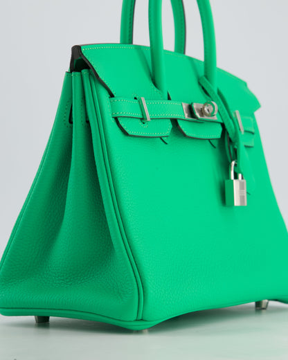 Hermès Birkin 25cm Retourne Bag in Vert Comics Togo Leather with Palladium Hardware