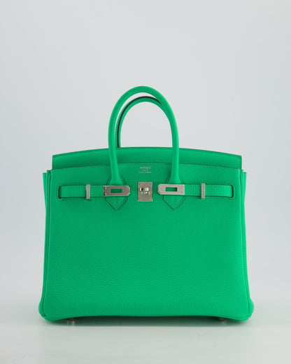Hermès Birkin 25cm Retourne Bag in Vert Comics Togo Leather with Palladium Hardware