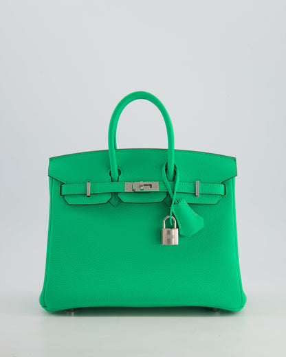 Hermès Birkin 25cm Retourne Bag in Vert Comics Togo Leather with Palladium Hardware