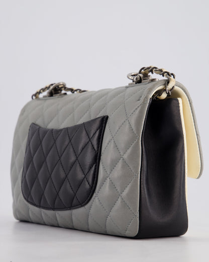 Chanel Beige Grey, White and Grey Timeless Medium Single Flap with Aged Ruthenium Hardware Bag