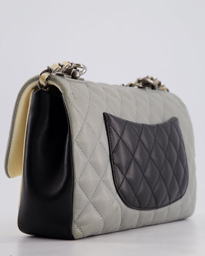 Chanel Beige Grey, White and Grey Timeless Medium Single Flap with Aged Ruthenium Hardware Bag