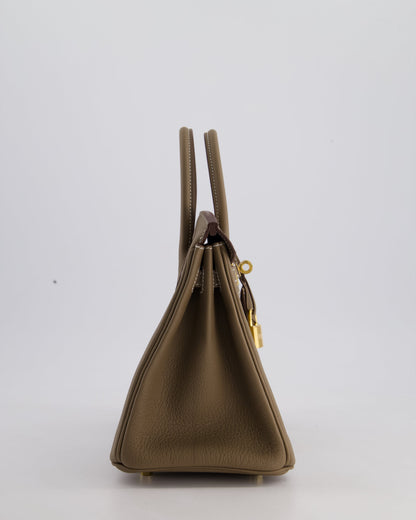 Hermès Birkin Retourne 25cm Bag in Etoupe Togo Leather with Gold Hardware