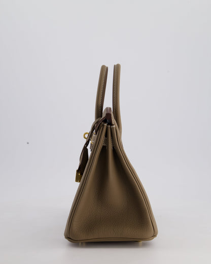 Hermès Birkin Retourne 25cm Bag in Etoupe Togo Leather with Gold Hardware