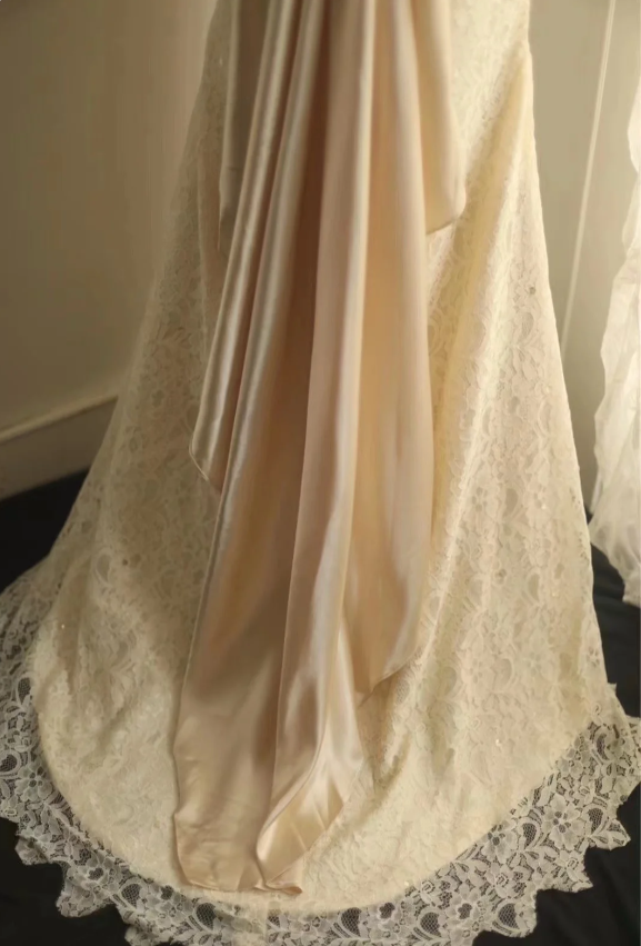 Royal Lace Waist Mermaid Wedding Dress P2822