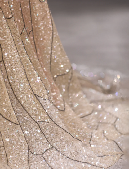 Starry Champagne Sequined Cape Fairy Wedding Dress P2882