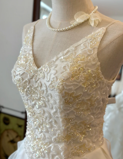 Chic White Strapless V-Neck Beaded Diamond Tulle Wedding Dress P2932