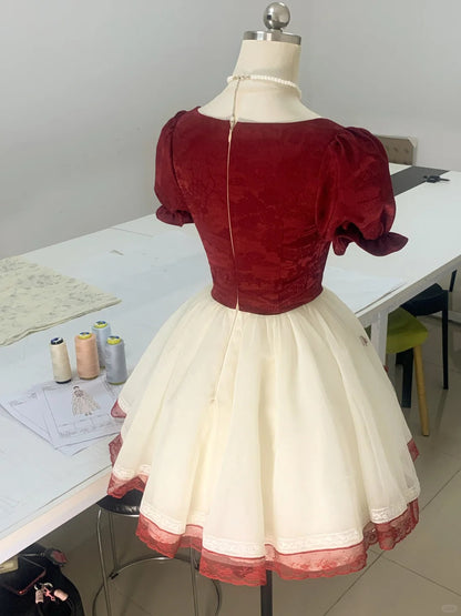 Rose Manor Burgundy and White Contrast Lace Trim Mesh Homecoming Dress P3178