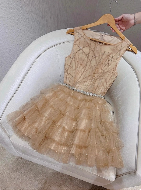Elegant Round Neck Champagne Tulle Cake Birthday Short Skirt Homecoming Dress P3956