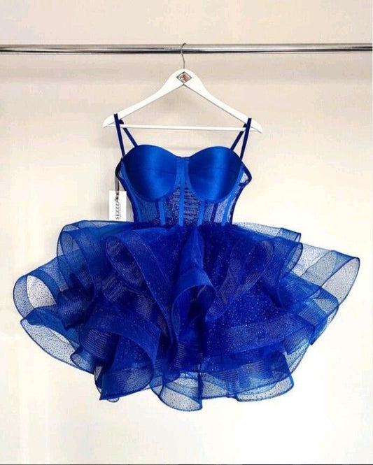 Ball Gown Straps Royal Blue Birthday Dresses Birthday Outfits P799