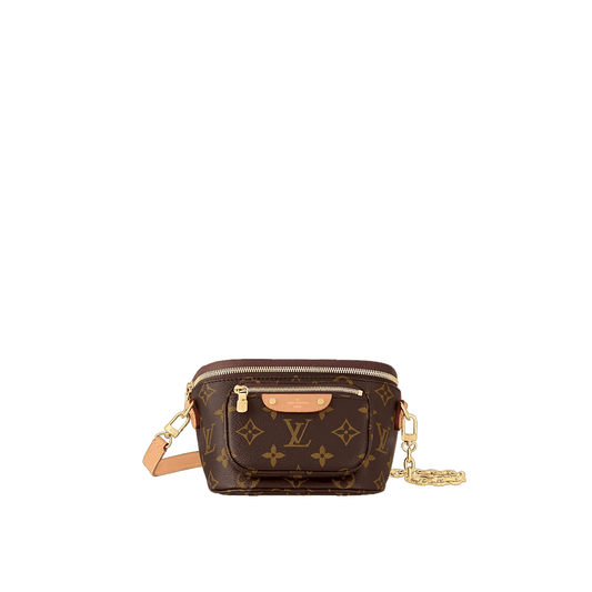 Louis Vuitton Mini Bumbag M83219