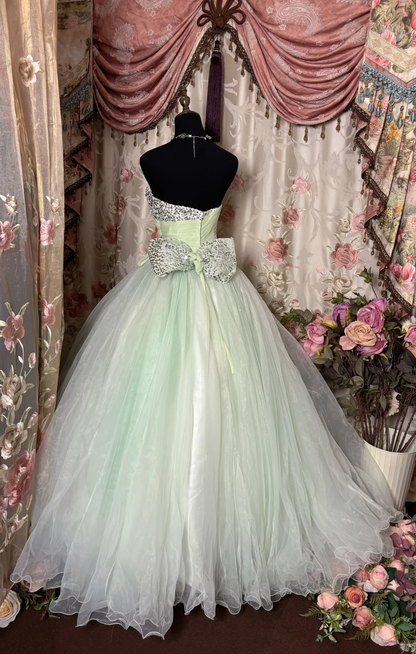 Vintage Light Green Ball Gown One Shoulder Flower Organza Long Prom Dress Evening Dress SH3734
