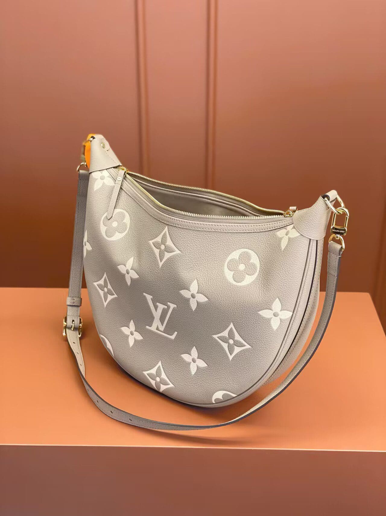 Louis Vuitton Loop Hobo M46738