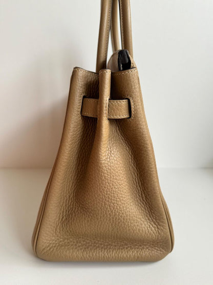 Hermès Birkin 30 Trench Clemence Leather with Gold Hardware