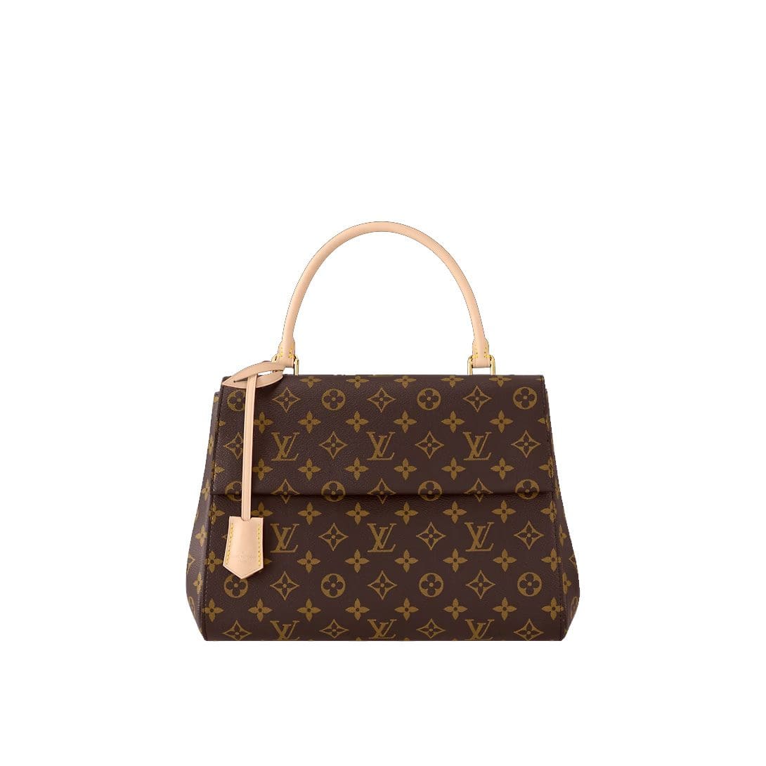 Louis Vuitton Cluny Mini M46055