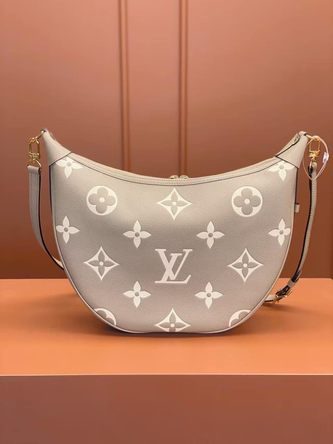 Louis Vuitton Loop Hobo M46738