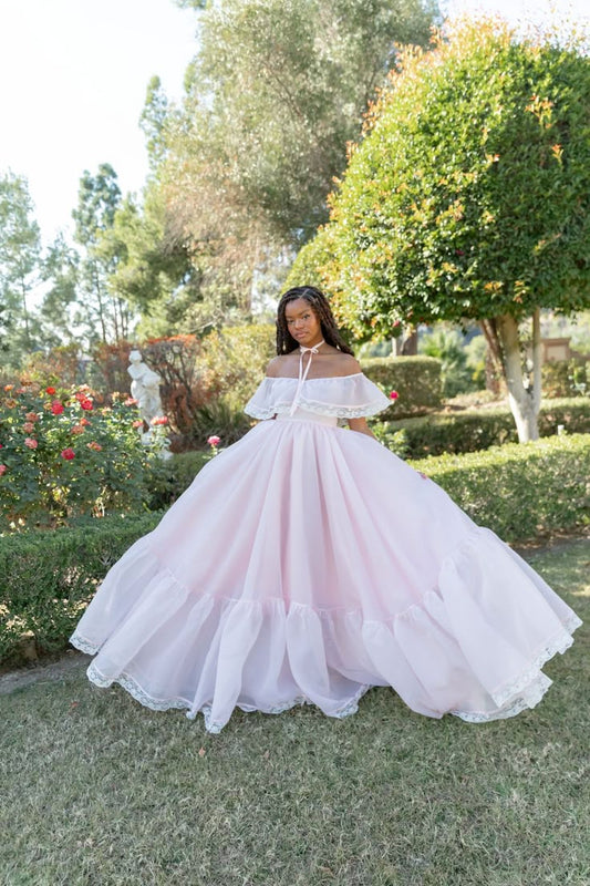 Light Pink Ball Gown Off the Shoulder Lace Organza Date Dress Prom Dress Birthday Dress SH3890