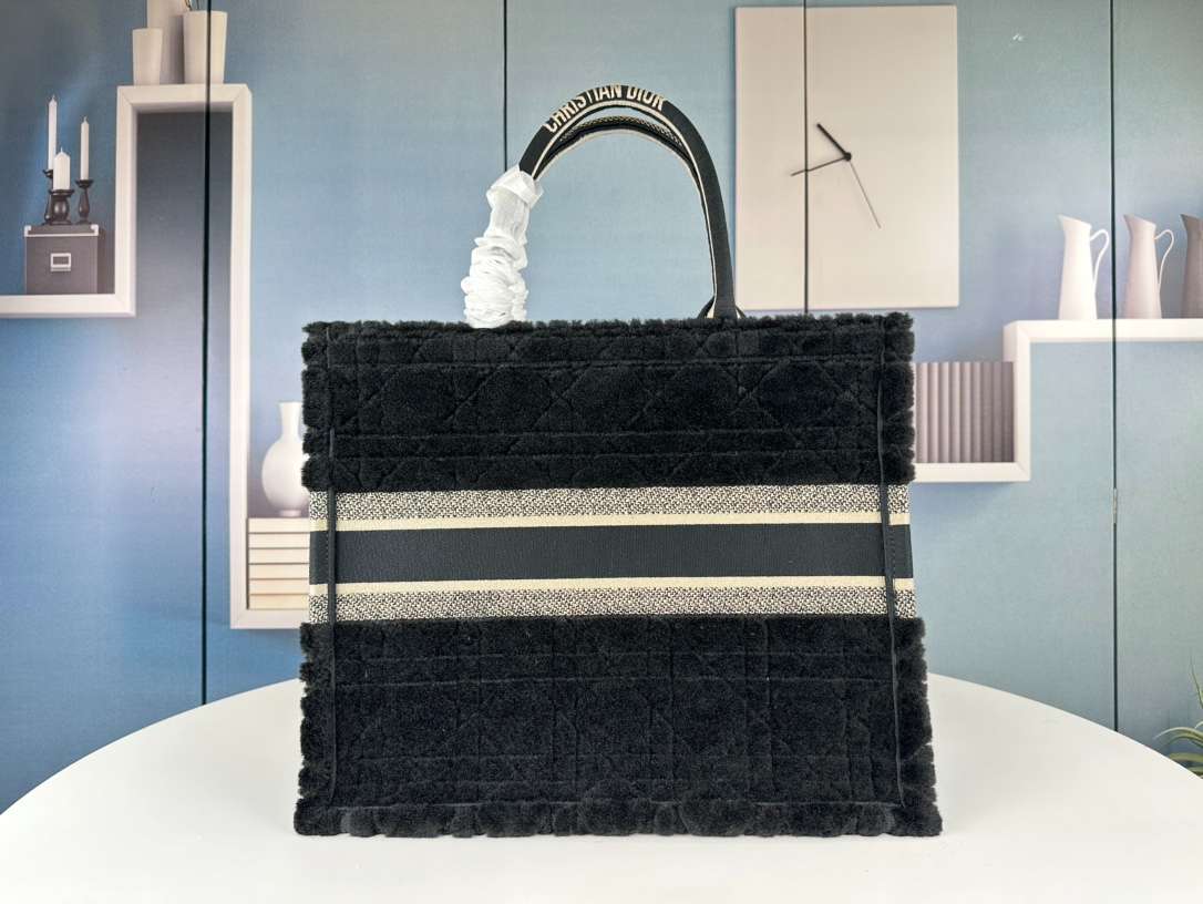Dior Book Tote