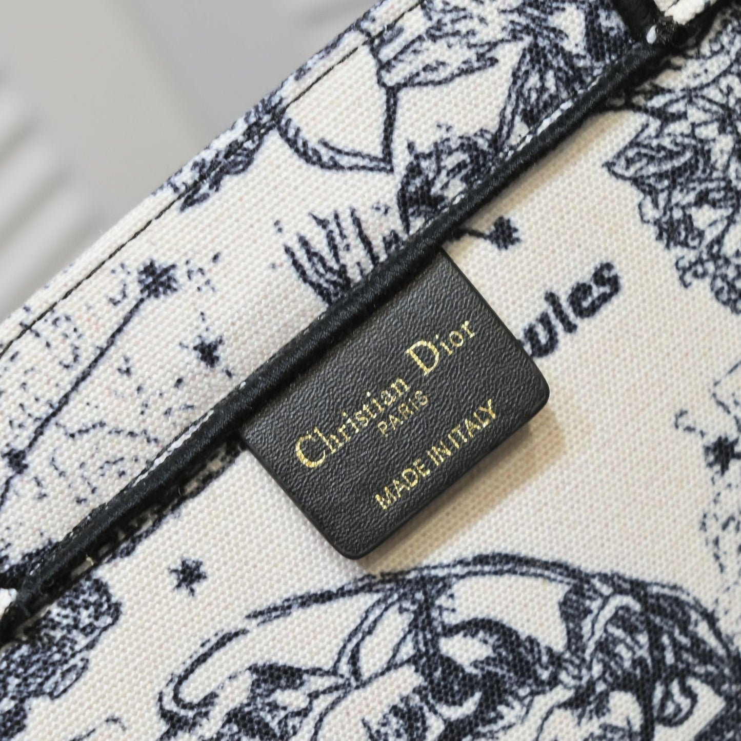 Dior Zodiac Embroidery