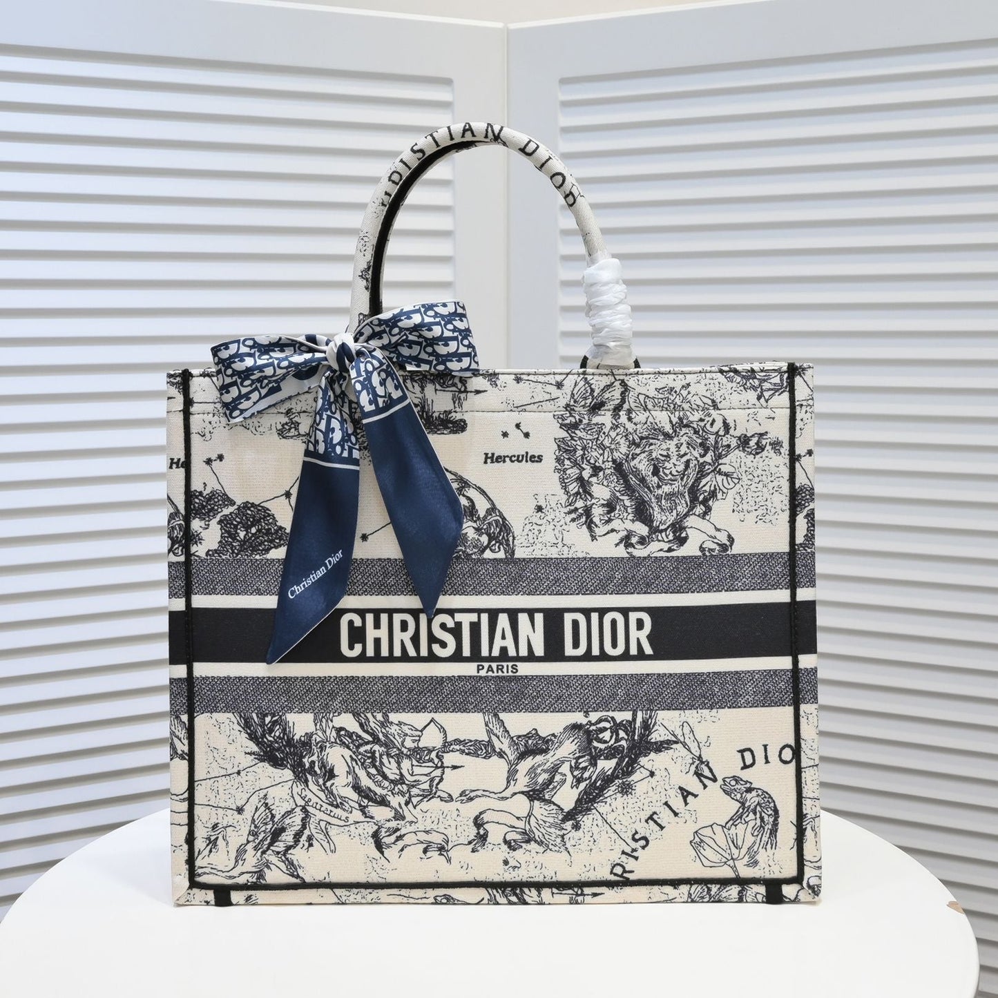 Dior Zodiac Embroidery