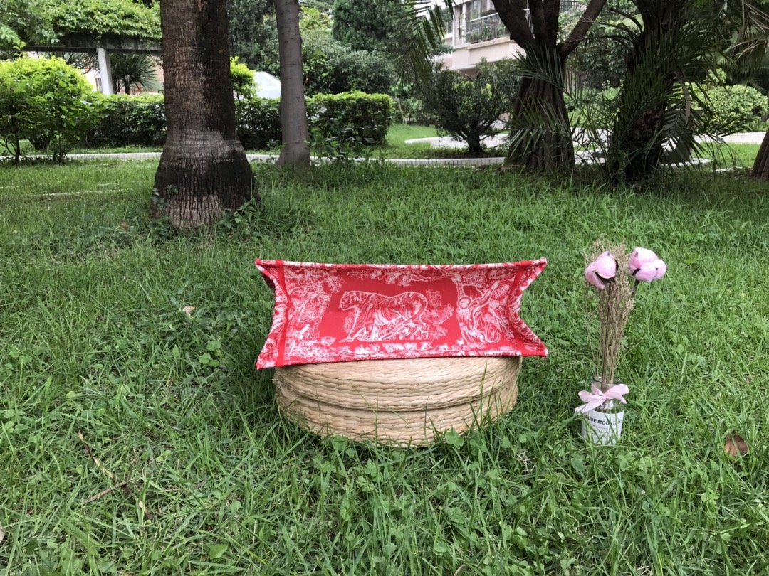 Christian Dior Medium Book Tote