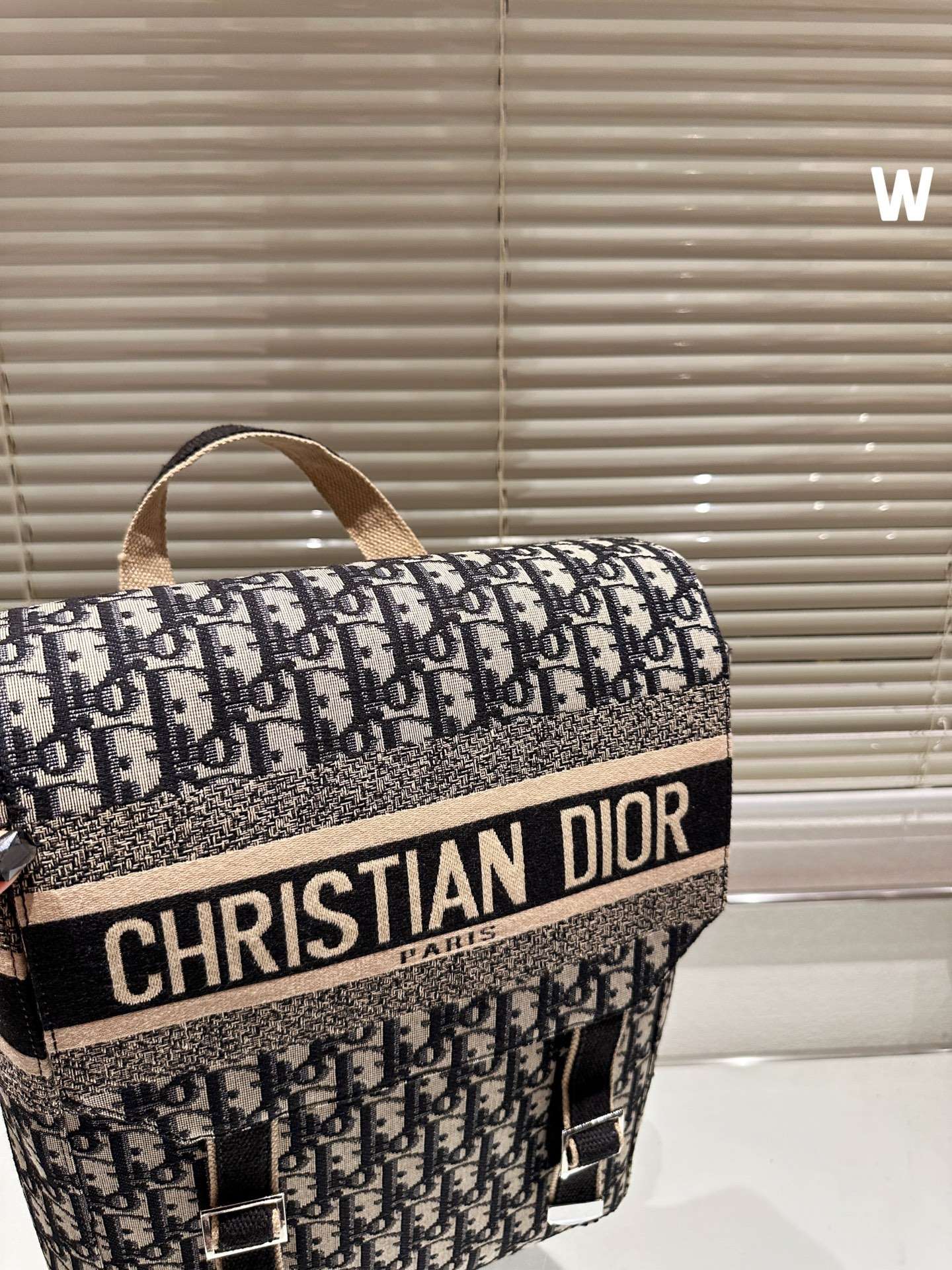 BALO Dior Backpack Blue Dior Oblique Embroidery