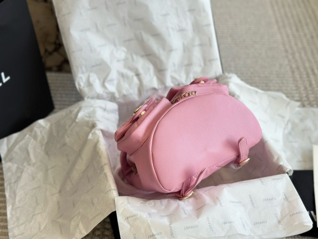 CHANEL Mini Duma Backpack