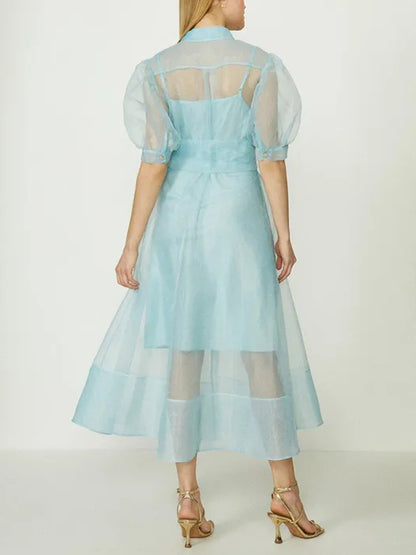 Organza Puff Sleeve Tie Waist Dress