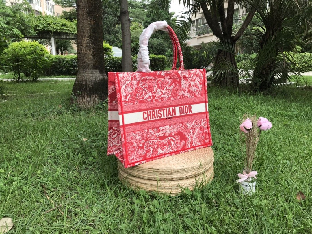 Christian Dior Medium Book Tote
