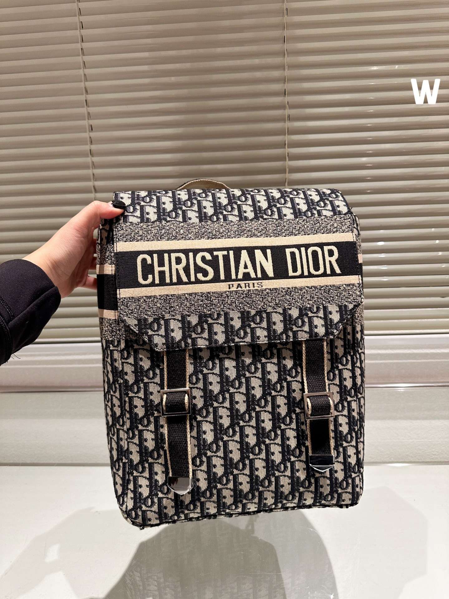 BALO Dior Backpack Blue Dior Oblique Embroidery