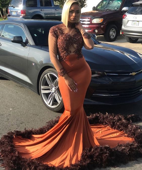 Unique Long Prom Dress With Long Sleeves ï¼ Formal Dress With Feather   cg13589